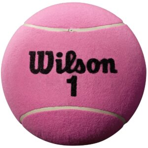 352100017_1 352100017_1