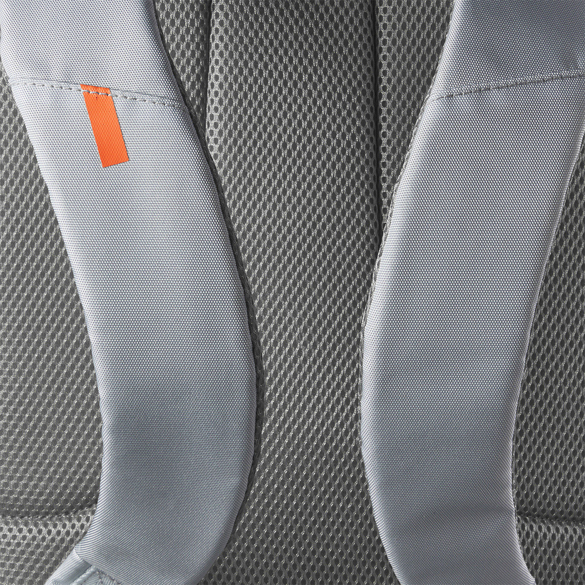 241500429_3 241500429_3